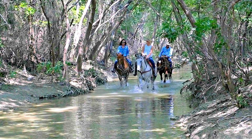 Benbrook Stables Trail Ride