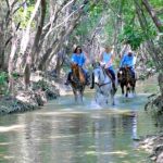 Benbrook Stables Trail Ride